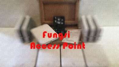 Fungsi Access Point -2
