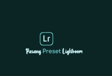 Cara Memasukkan Preset Lightroom Android