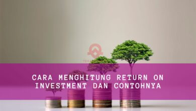 Cara Menghitung Return on Investment dan Contohnya